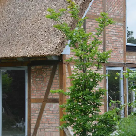 Reetgedecktes Espenhaus *